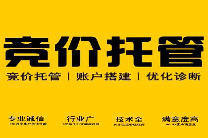 SEM竞价专员案例分析：创意广告策略